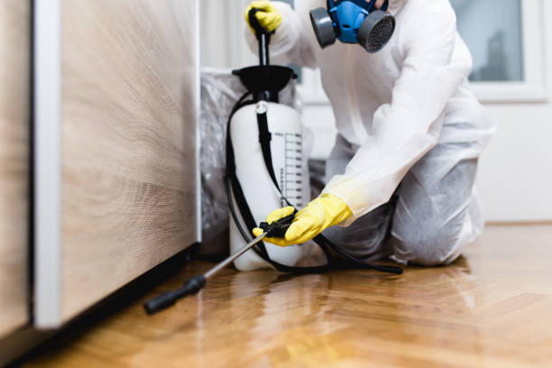 Best Pest Inspection Near Me  in Broomfield, CO