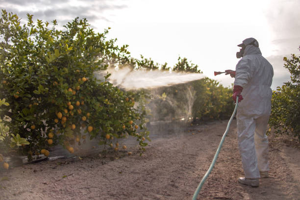 Best Exterminator Services  in Broomfield, CO