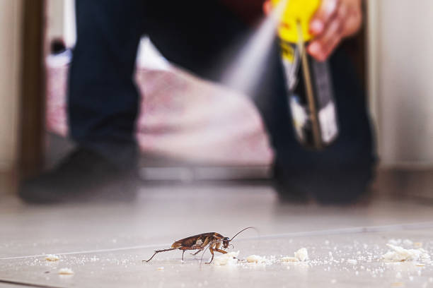Broomfield, CO Pest Control Company